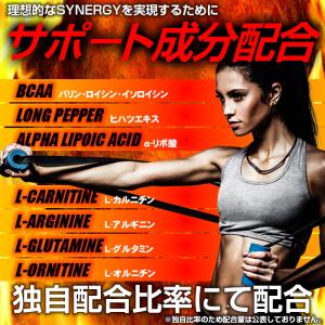 HMB サプリ ダイエット スリム 大容量 約...の詳細画像3