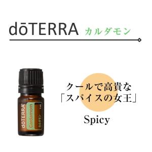 ドテラ ベチバー 15ml シングルオイル 【使用期限：2027年11月】 : N&H