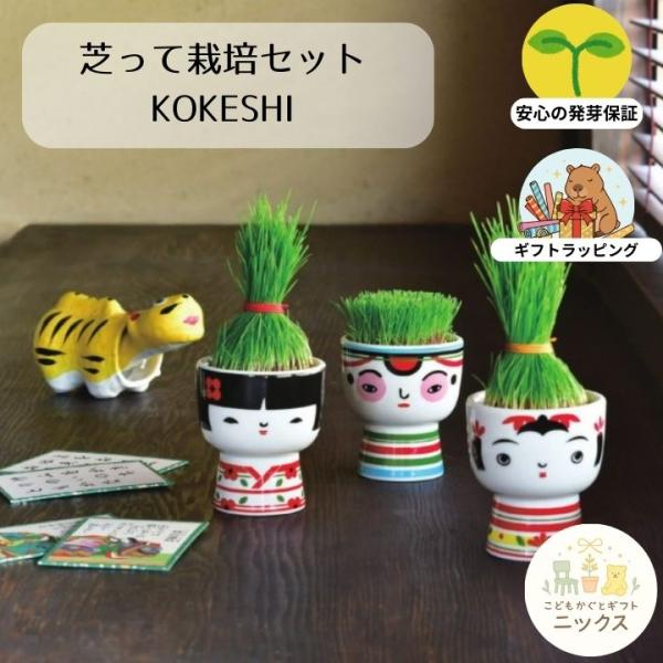 栽培キット 芝生 こけし 芝って栽培キット KOKESHI 聖新陶芸 観葉植物 室内 おしゃれ 盆栽...