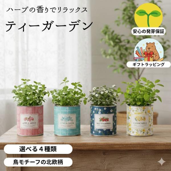 栽培キット ハーブ ティーガーデン 2026リニューアル 室内 家庭菜園 ギフト 聖新陶芸 アップル...