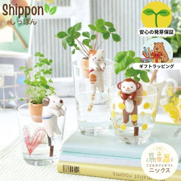 栽培キット 室内 栽培セット しっぽん 植物 しっぽ 聖新陶芸 イヌ ネコ サル クローバー ワイル...