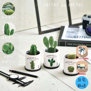 栽培キット 家庭菜園 おうち菜園 丸サボテン 柱サボテン ウチワサボテン 置物 CACTUS de CACTUS 体験型ギフト｜niccs