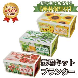 父の日 おつまみ付 栽培キット 家庭菜園 おうち菜園 ENJOY PLANTER VEGE EDAMAME MINI TOMATO MINI HIMAWARI 体験型ギフト