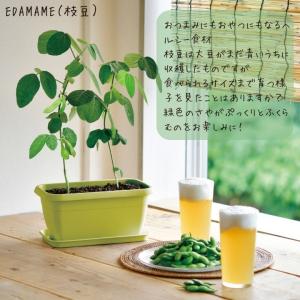 栽培キット 家庭菜園 おうち菜園 ENJOY ...の詳細画像1