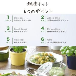 栽培キット 家庭菜園 おうち菜園 ENJOY ...の詳細画像5
