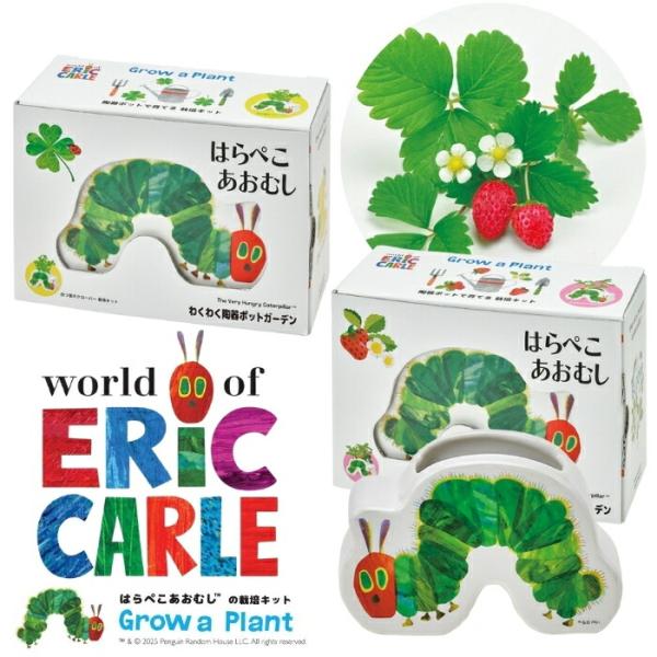 はらぺこあおむし わくわく陶器ポットガーデン ワイルドストロベリー 四つ葉 クローバー 子供 家庭菜...