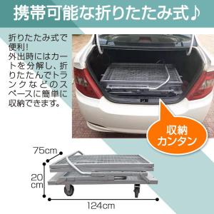 メッシュパレット キャスター付き 網カゴ 折り...の詳細画像2