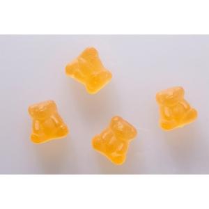 ベアーズサプリ 60g オレンジ味 機能性表示...の詳細画像2