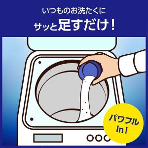 ワイドハイター PRO 粉末 本体 500g ...の詳細画像3