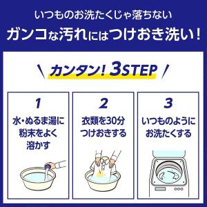 ワイドハイター PRO 粉末 本体 500g ...の詳細画像4