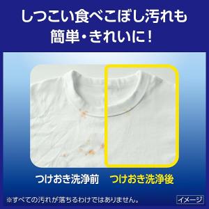 ワイドハイター PRO 粉末 本体 500g ...の詳細画像5