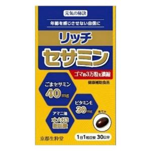 菊芋イヌリン糖質対策 2.5g×10本 血糖値が気になる方へ サンヘルス