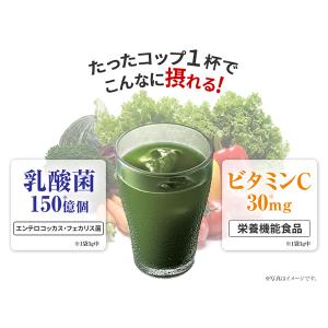 やわた 本青汁 15包入(15日分) 栄養機能...の詳細画像2