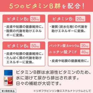 チョコラBBプラス 180錠 肌あれ・にきび・...の詳細画像4