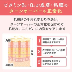チョコラBBプラス 180錠 肌あれ・にきび・...の詳細画像5
