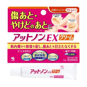 アットノン アットノンEX ジェル 15g 小林製薬 第2類医薬品 : ナイス