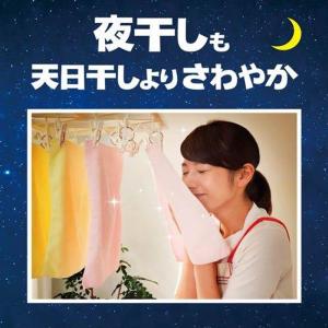 レノア 超消臭1WEEK 柔軟剤 部屋干し お...の詳細画像2