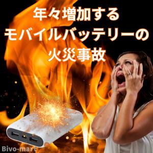 耐火バッグ 耐火ポーチ 耐火ケース リポ セー...の詳細画像1