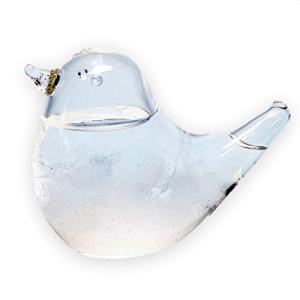 鳥 Glass テンポドロップ fullion Storm