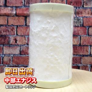 中性水素水整水器 アクティブ ビオ(ビオ2共通)交換カートリッジ【送料