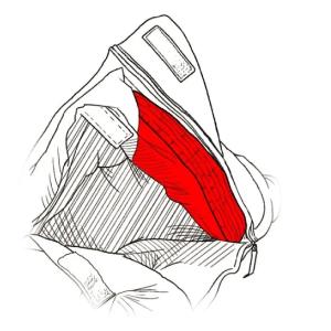 イスカ シュラフ パトロール ショート アウト...の詳細画像5