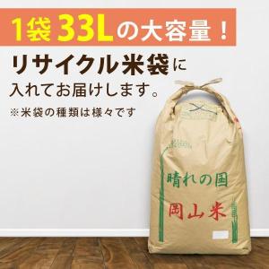 猫砂 ペレット 20kg 33L 木質ペレット...の詳細画像2