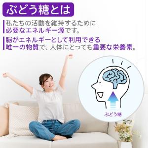 全糖ぶどう糖(グルコース) 600g 【メール...の詳細画像2