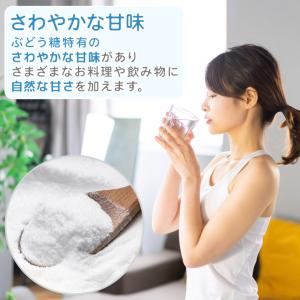 全糖ぶどう糖(グルコース) 600g 【メール...の詳細画像4
