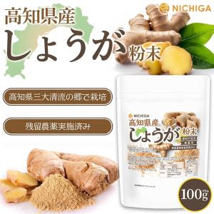 高知県産 しょうが粉末 100g 【メール便専...の詳細画像1