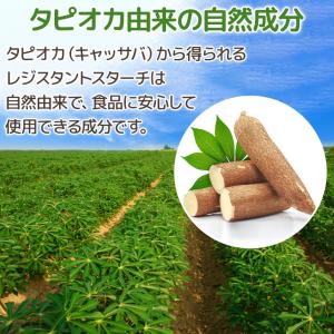 レジスタントスターチ 200g 【メール便専用...の詳細画像5