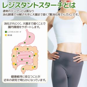 レジスタントスターチ 800g 【メール便専用...の詳細画像3