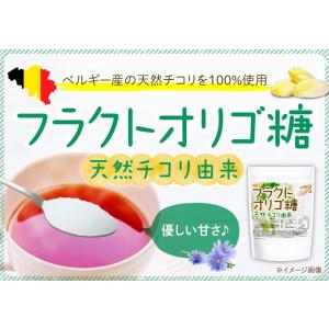 フラクトオリゴ糖 1kg 天然 チコリ由来 【...の詳細画像2