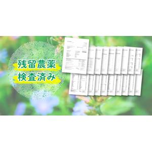 フラクトオリゴ糖 1kg 天然 チコリ由来 【...の詳細画像4