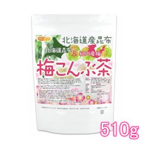 北海道産昆布 紀州産梅 梅こんぶ茶 510ｇ  [01] NICHIGA(ニチガ)