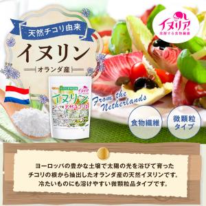 イヌリン(オランダ産) 500g 【メール便専...の詳細画像2