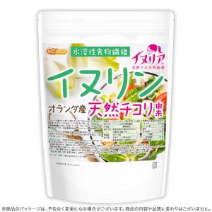 イヌリン(オランダ産) 500g 【メール便専...の詳細画像3