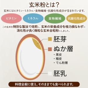 焙煎 国産 玄米粉 600g 【メール便専用品...の詳細画像2