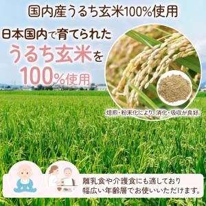 焙煎 国産 玄米粉 600g 【メール便専用品...の詳細画像3