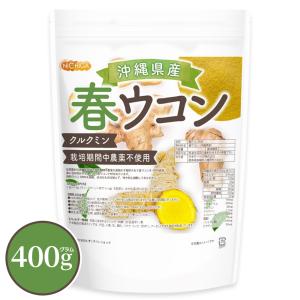 沖縄県産 春ウコン 400ｇ 【メール便専用品】【送料無料】 クルクミン含有 栽培期間中農薬不使用 春ウコンを100%使用 ミネラルが豊富 [05] NICHIGA(ニチガ)｜NICHIGA(ニチガ)Yahoo!店