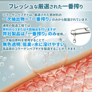 フィッシュコラーゲン(国内製造) 500g 厳...の詳細画像3