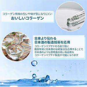 フィッシュコラーゲン(国内製造) 500g 厳...の詳細画像4