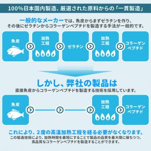 フィッシュコラーゲン(国内製造) 500g 厳...の詳細画像5