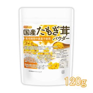 国産たもぎ茸パウダー 120g 栽培期間中農薬不...の商品画像