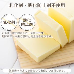 グラスフェッド 発酵バターパウダー (国内製造...の詳細画像4