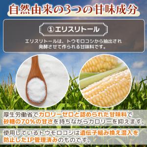 ラカンカ カロリーゼロ甘味料 4kg 砂糖と同...の詳細画像3