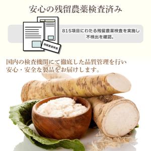 北海道産 粉わさび粉末 100g【メール便専用...の詳細画像4