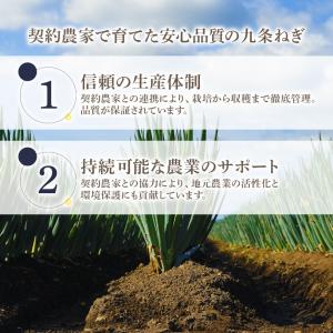 国産乾燥 九条ねぎ 40g 【メール便専用品】...の詳細画像2