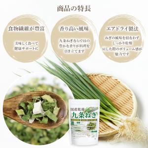国産乾燥 九条ねぎ 40g 【メール便専用品】...の詳細画像4