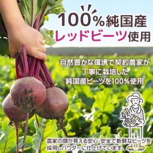 純国産 ビーツパウダー 400g 【メール便専...の詳細画像3