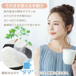 牛コラーゲン由来 ゼラチン顆粒 (国内製造) ...の詳細画像3